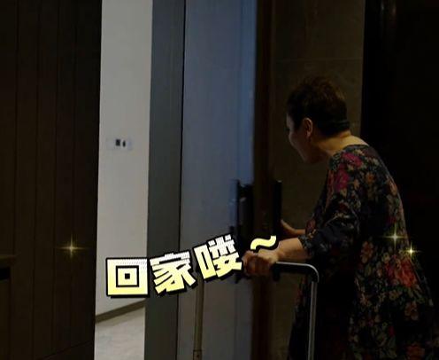 网红爆料向华强视频大全,向华强视频大全，揭秘娱乐圈幕后大佬的真实生活